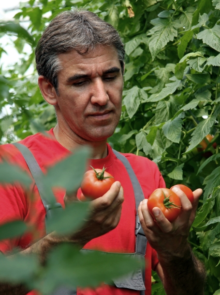 Pesquisa no Tomate - Aqualis Eurochem