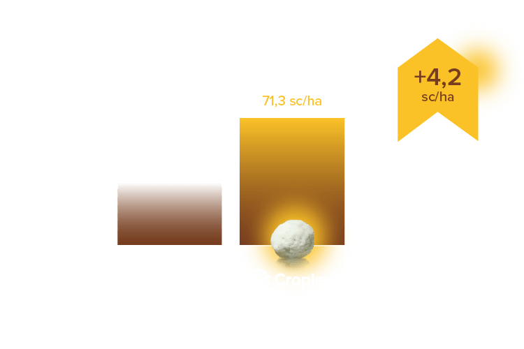 Resultados Croplex - DESKTOP 1