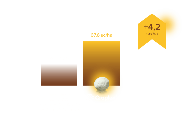 Resultados Croplex - DESKTOP 2