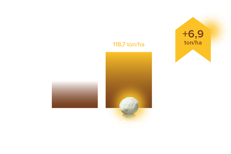 Resultados Croplex - DESKTOP 4
