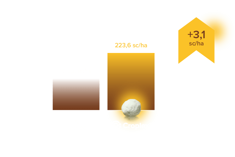 Resultados Croplex - DESKTOP 5