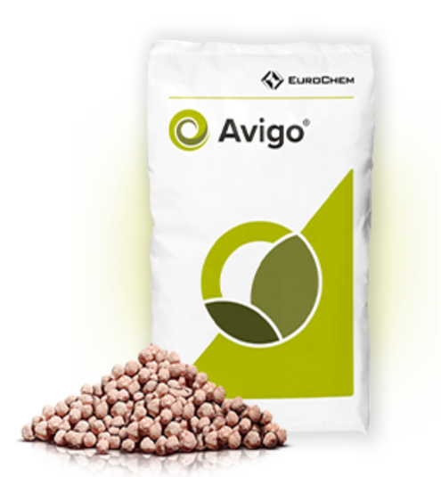 4062-25-avigo_mockup_v01-4